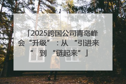 2025跨国公司青岛峰会“升级”：从 “引进来” 到 “链起来”
