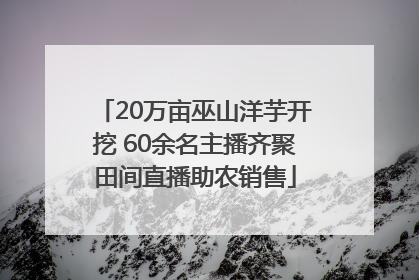20万亩巫山洋芋开挖 60余名主播齐聚田间直播助农销售