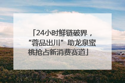 24小时鲜链破界，“蓉品出川”助龙泉蜜桃抢占新消费赛道