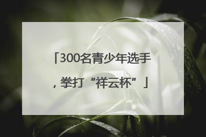 300名青少年选手，拳打“祥云杯”