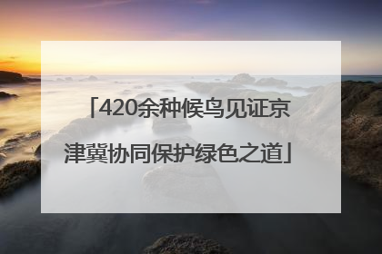 420余种候鸟见证京津冀协同保护绿色之道