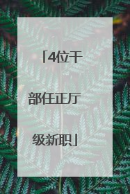 4位干部任正厅级新职