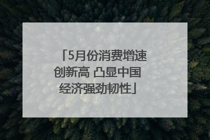 5月份消费增速创新高 凸显中国经济强劲韧性