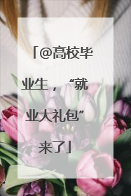 @高校毕业生，“就业大礼包”来了