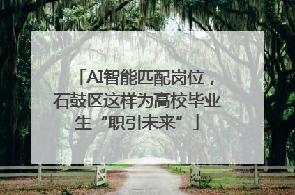 AI智能匹配岗位，石鼓区这样为高校毕业生“职引未来”